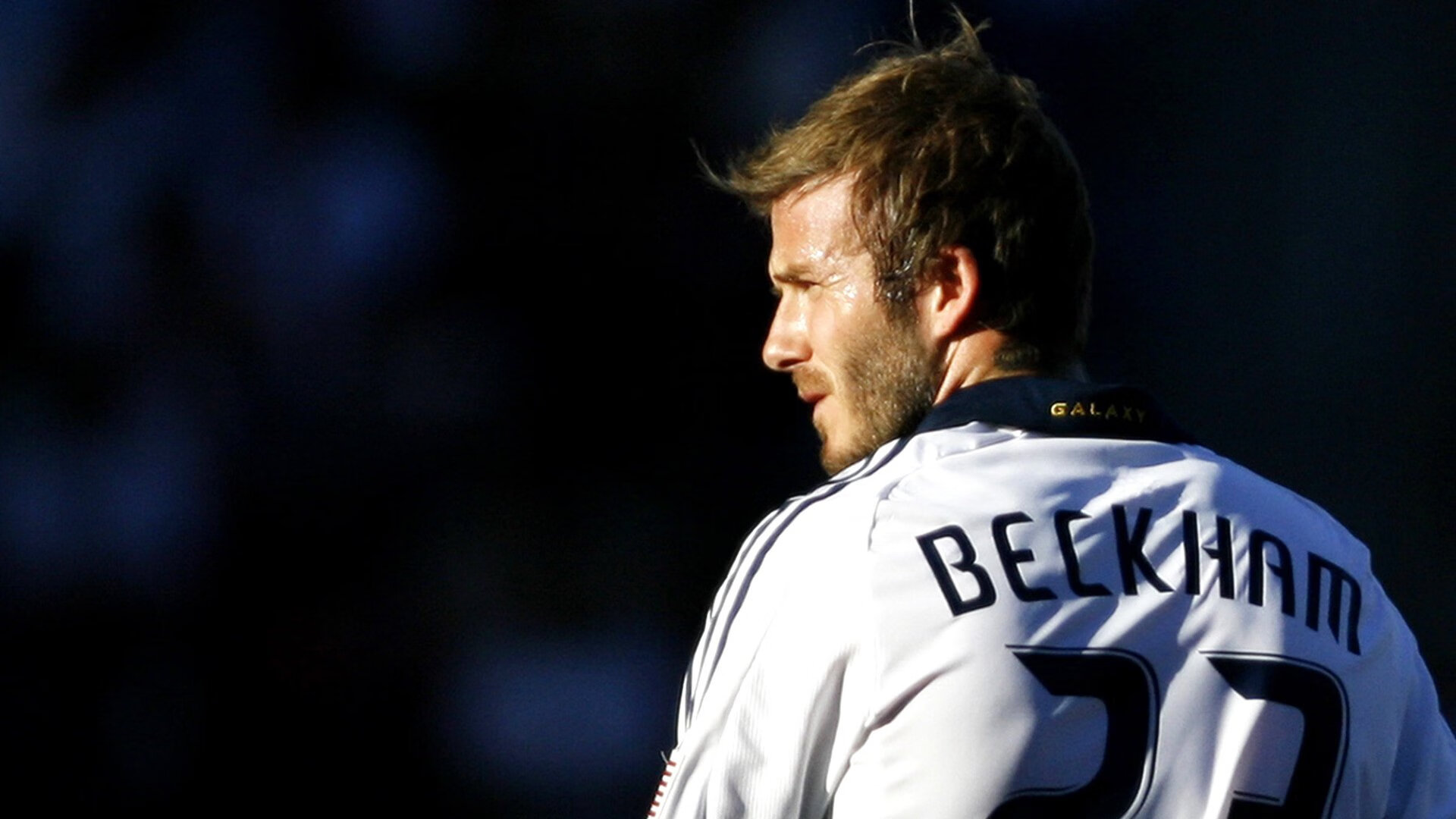 粉丝投票：哪个车手最具潜力？，最著名的车手