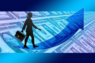 开云注册网址-女子赛事门票收入创新高，商业赞助进一步跟进，女子锦标赛